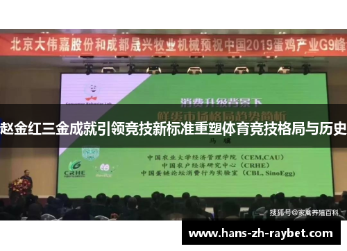 赵金红三金成就引领竞技新标准重塑体育竞技格局与历史 赵金红三金成就引领竞技新标准重塑体育竞技格局与历史