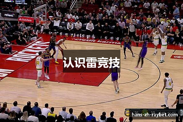 认识雷竞技